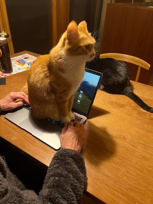 Нубук зоблокирован!!!! Для розблокировки вставьте каклетку в каклеткоприемник!!!!!