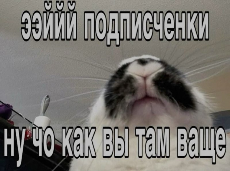 Ночная подборочка
Спать, режим