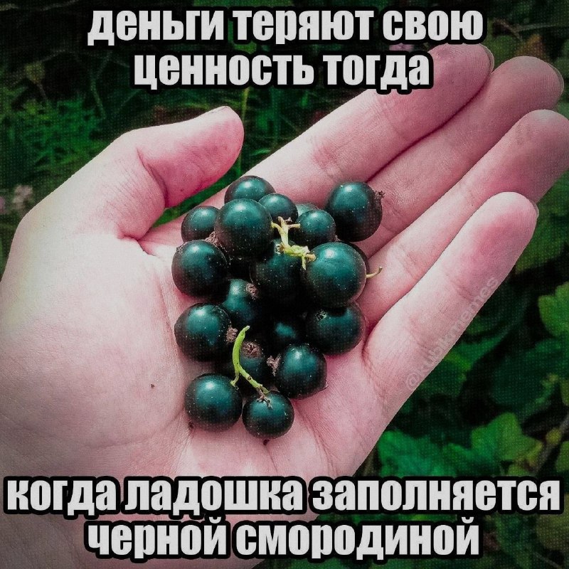 Ночная подборочка
Выходные, не спим