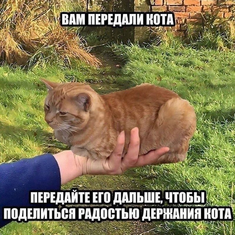 Утренняя подборочка