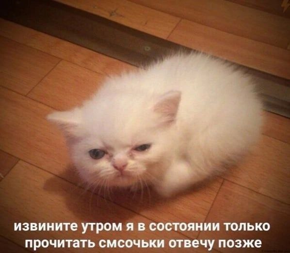 Утренняя подборочка