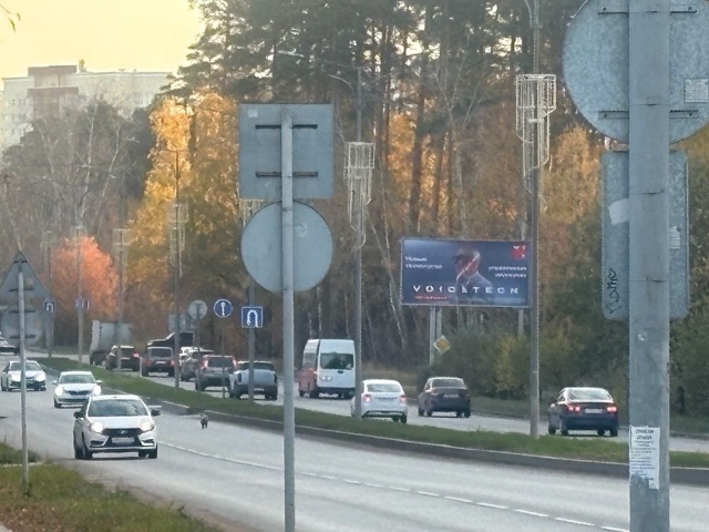 Потерялся щенок!
Сегодня утром видели его бегущего по ?...