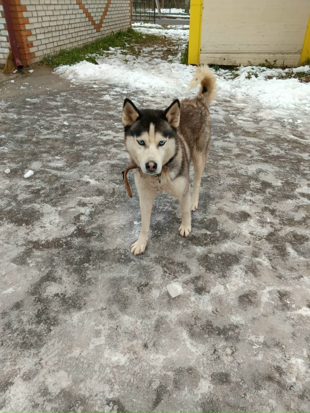 Пропустите, пожалуйста
🆘️🆘️🆘️🆘️🆘️🆘️🆘️🆘️?...