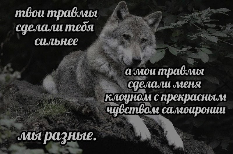 Ночная подборочка
Выходные, не спим