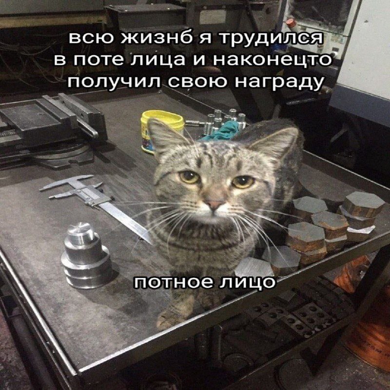 Утренняя подборочка