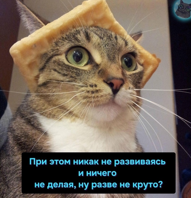 Как хорошо, что я далеко от этих ваших нейросетей