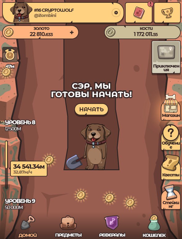 #Labrador 🐶
Начался счастливый час, можно собрать немного золота.
➡️ Зайти в проект Labrador 🐶 мо