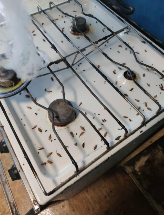 Предлагаем услуги дезинфекции, дезинсекции, дератизац...