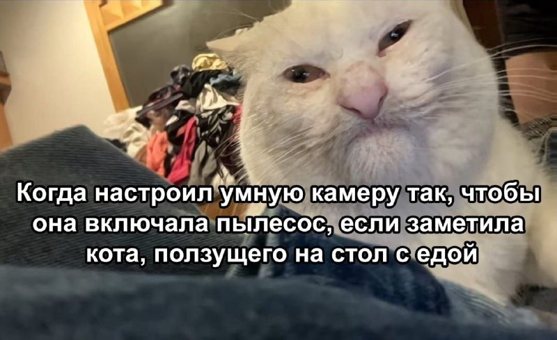 Умные камеры наконец-то стали реально умными — научились понимать, что происходит в кадре с помощью