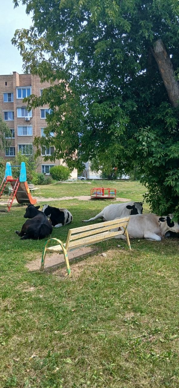 Культурный отдых за ДК Цементник
