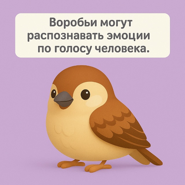 🐦 Маленькие, но очень внимательные
Воробьи могут рас?...