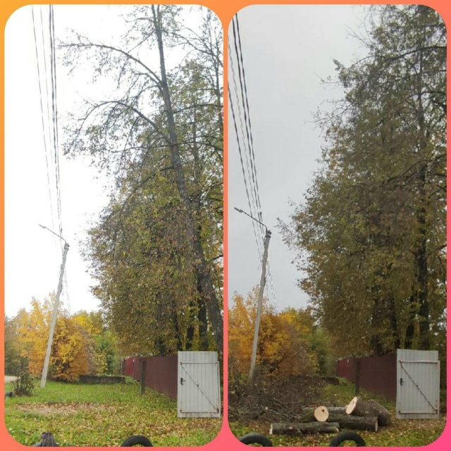 СПИЛИМ ЛЮБОЕ ДЕРЕВО (рядом с домами, проволами, заборам...