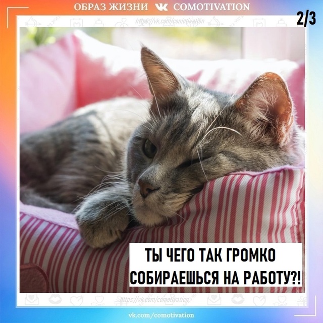 Не будить!
