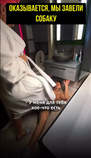 Дорогая, а как давно мы завели собачку?