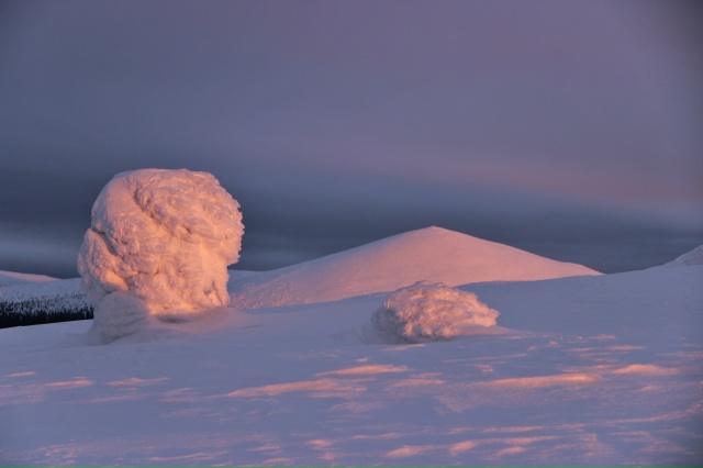 Прекрасные фотографии нашей природы🔥
Фотограф - Илья ...