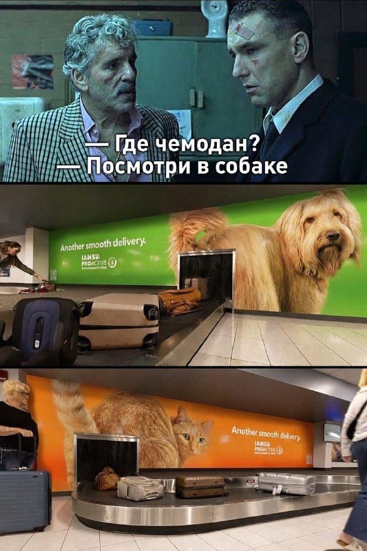 Компания по производству корма для животных запустила очень необычную рекламу в аэропорту Орландо.