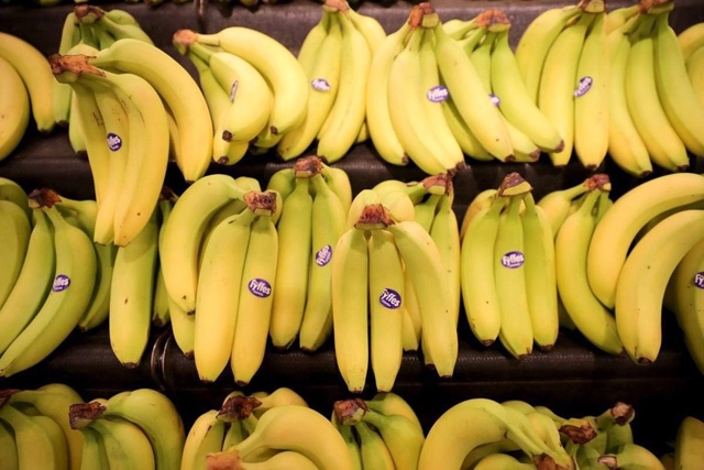 БАНАНЫ ПО-РУССКИ — В 2026 ГОДУ УРОЖАЙ СО СТАВРОПОЛЬЯ 🍌???...