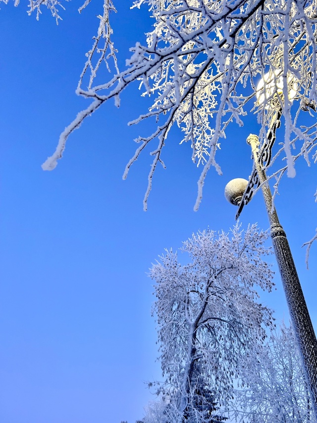 Зимний Рыбинск ❤
📷 Elizaveta Stanislavovna