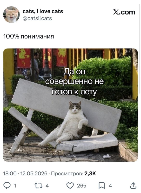0% осуждения 😁