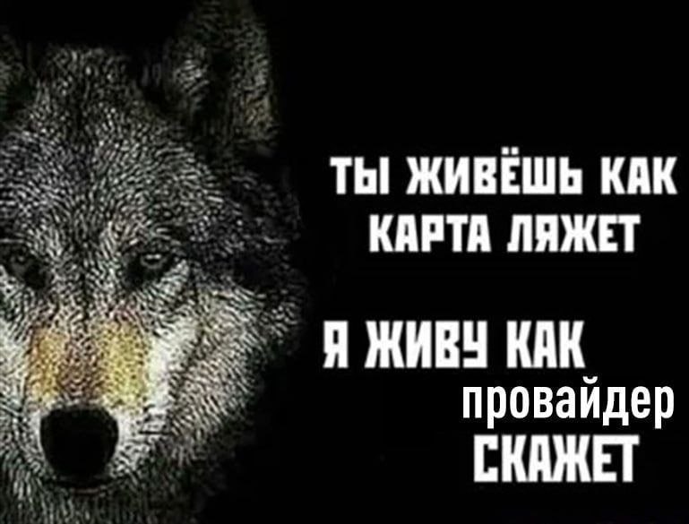 Утренняя подборочка