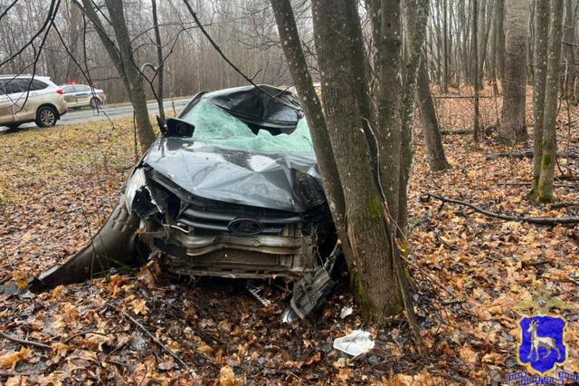 В Самарской области легковушка насмерть сбила лося, во...