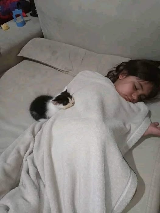 Всем пушистых снов!