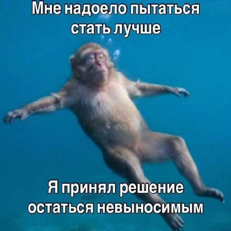 Утренняя подборочка