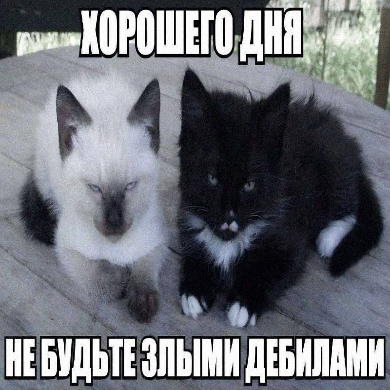 Утренняя подборочка