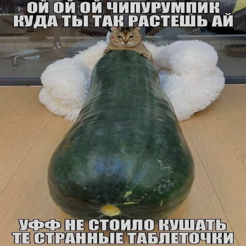 Ночная подборочка
Спать, режим
