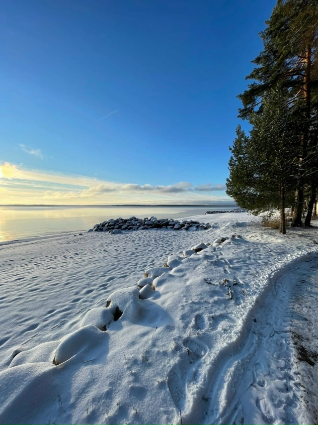 Рыбинское водохранилище. Очень красиво ❤
? Андрей Фи...