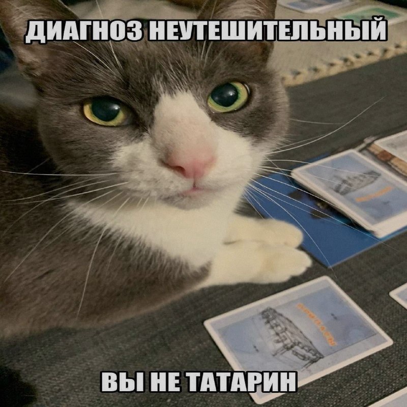 Ночная подборочка
Спать, режим