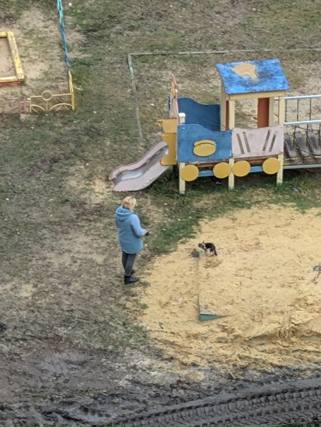 Собачница проживающая на центральном бульваре дом 7. П?...