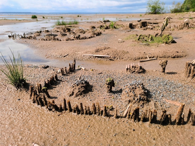 Работа неизвестного на берегу Рыбинского моря 🌊
