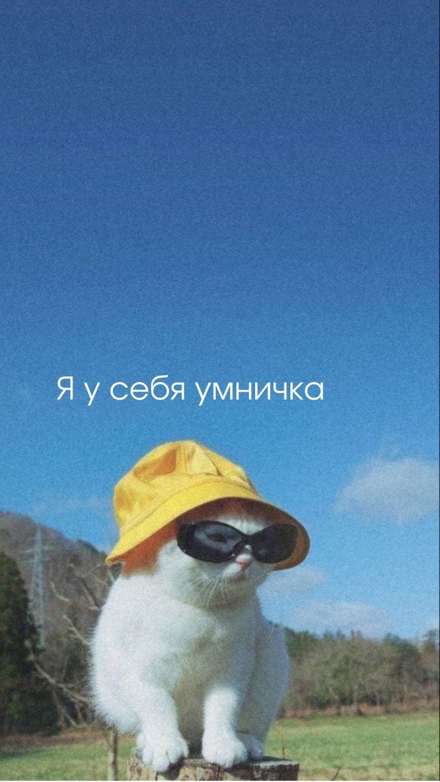 🤗Сегодня отмечается День заботы о себе.
Порадуйте с?...