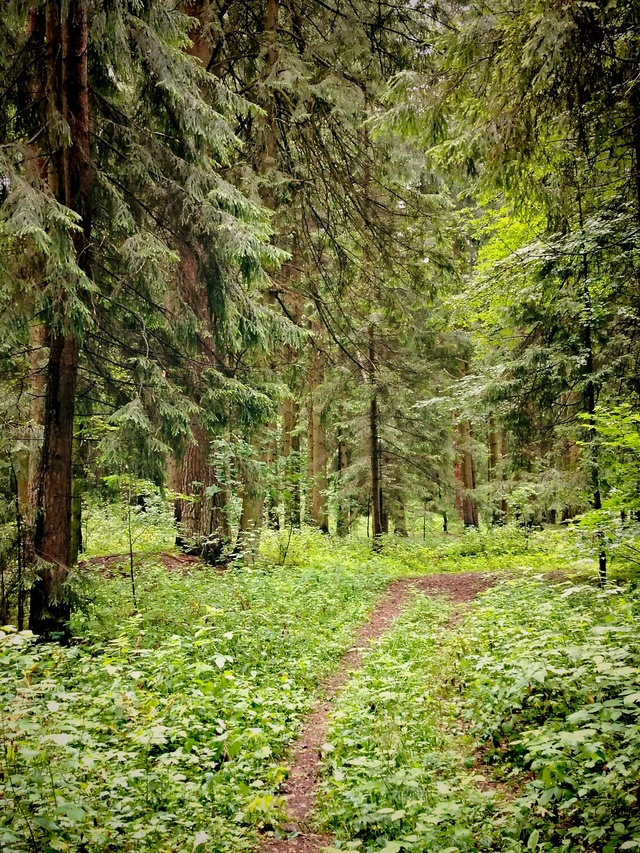 Доброго утра, Никольск❤
