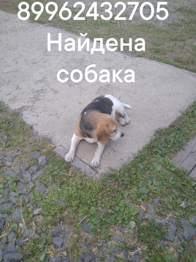 Пост добра. Распространите, пожалуйста.