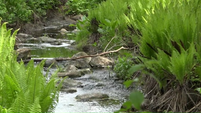 Сбор предложений по программе 
