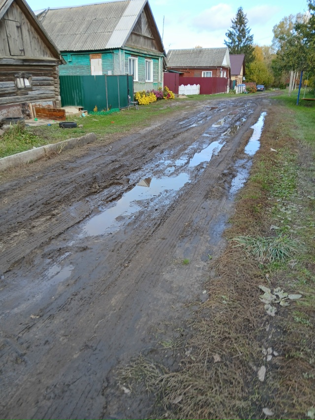 Дороги в деревне Красное Трубчевского Района Брянской...
