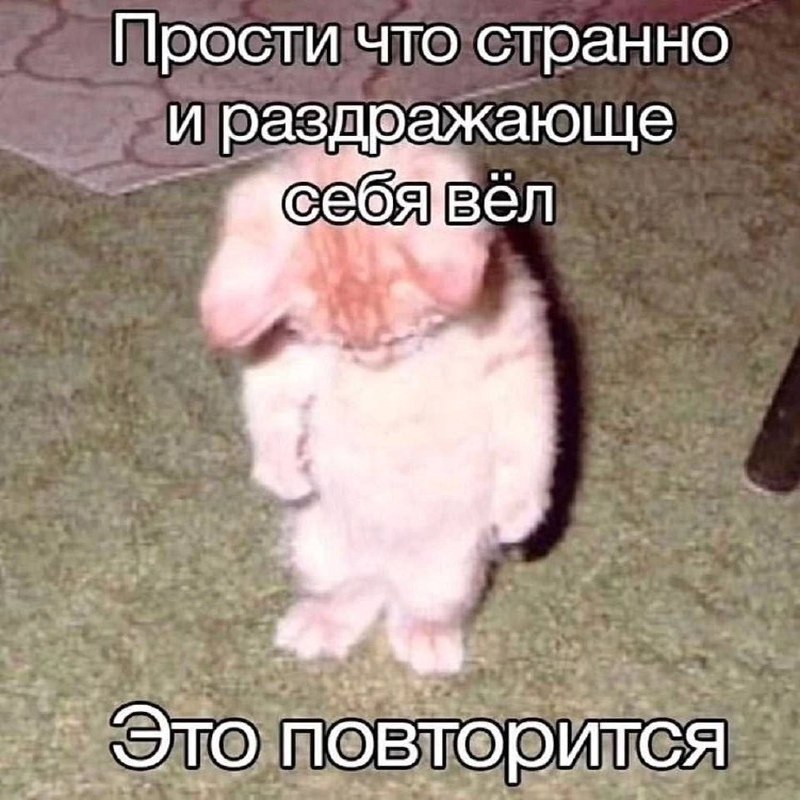 Утренняя подборочка