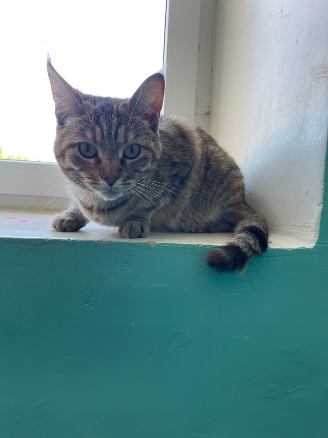 Чей красавчик отбился от семьи?? На данный момент в под?...