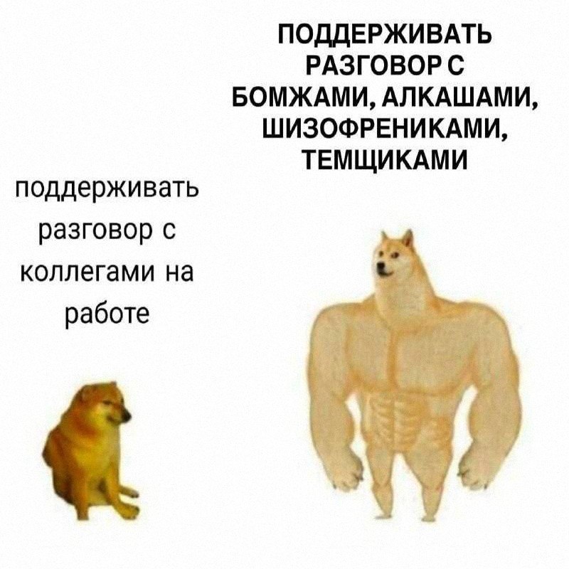 Утренняя подборочка