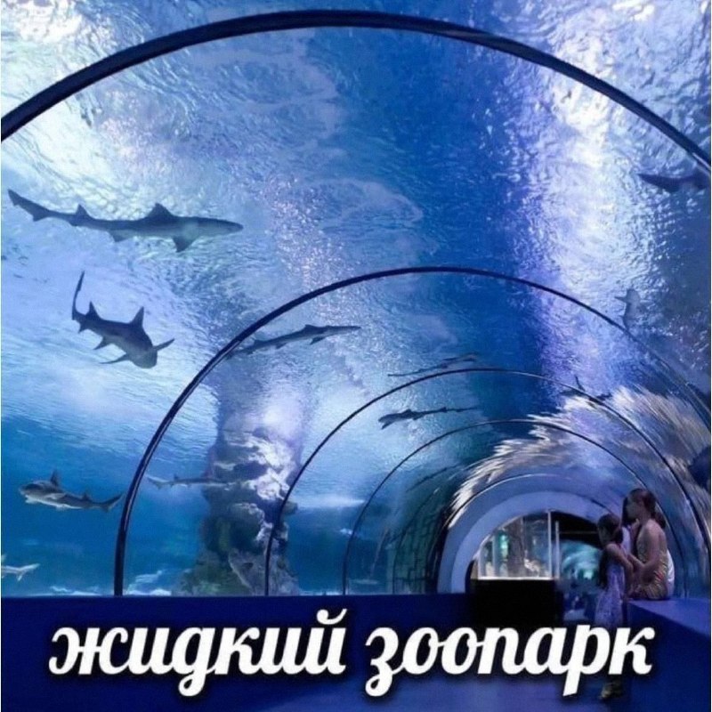 Утренняя подборочка