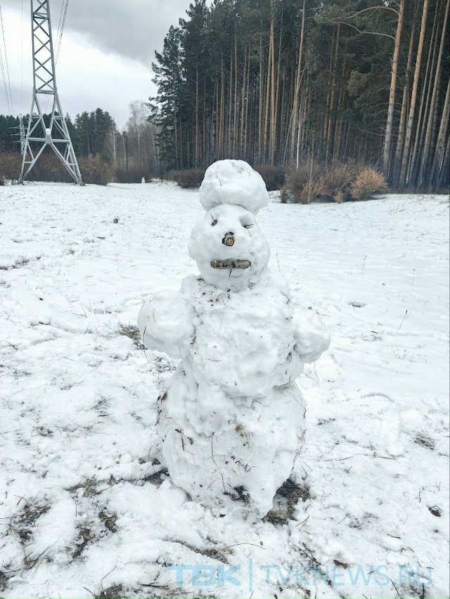 ☃️Парад снеговиков .
В эти дни снег такой липкий, поэ?...