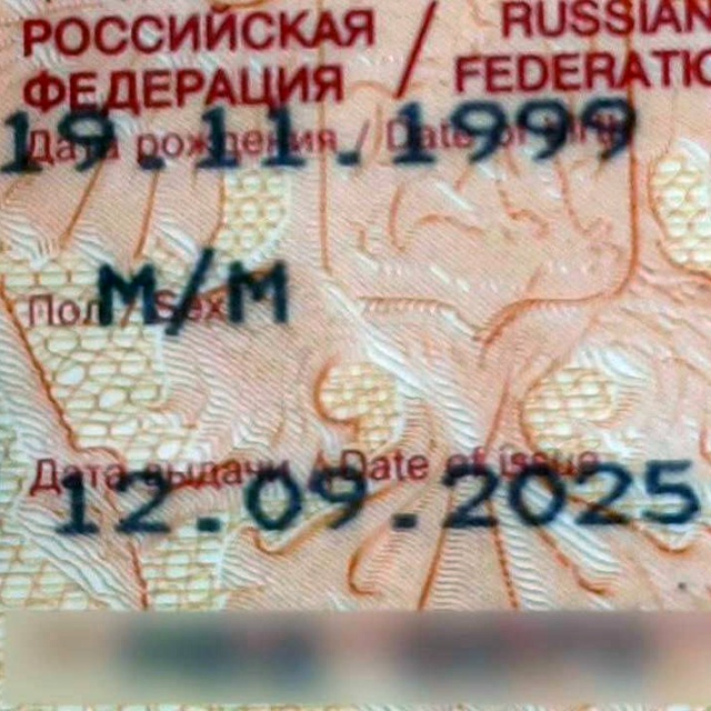 Россиян не пускают за границу из-за «НАПЛЫВШЕГО» текст...