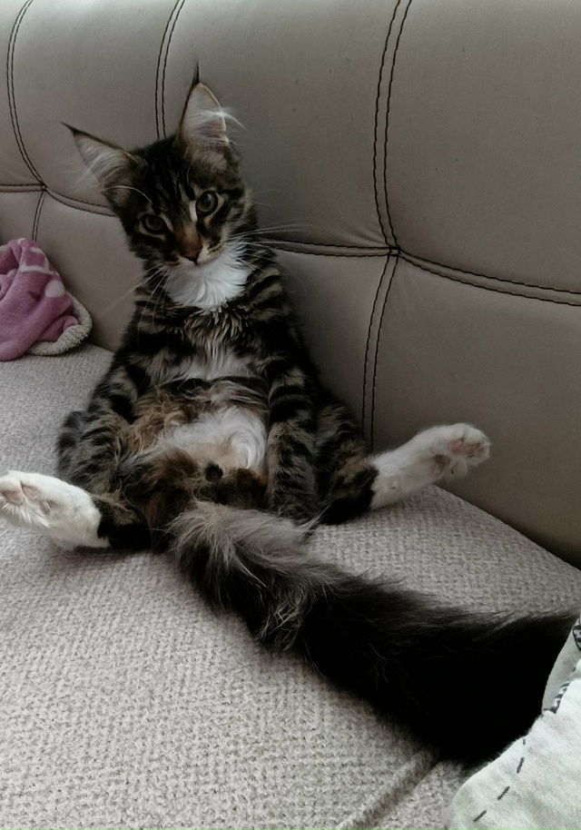 ❗❗❗УБЕЖАЛ КОТ ❗❗❗
Помогите найти( 😭
Дети очень пер?...