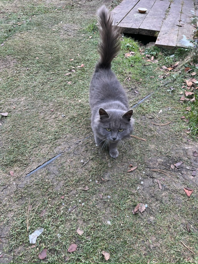 Чья красавица приходит столоваться на улице Советской...