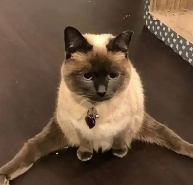 Главное что художник доволен