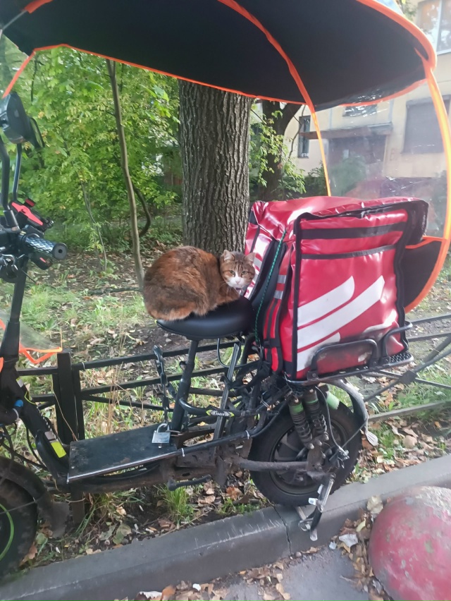 Санкт-Петербург