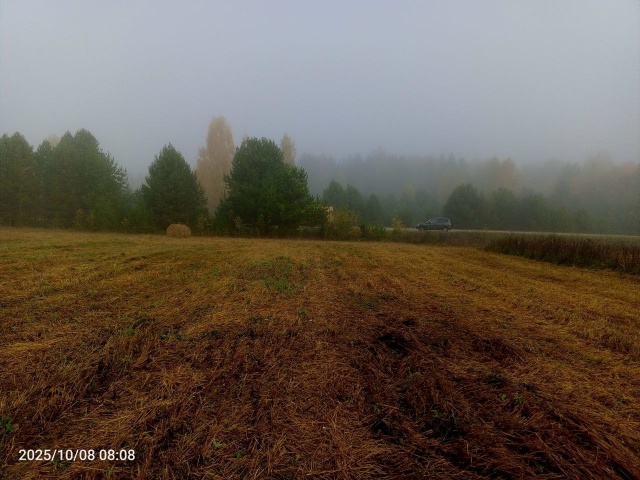 Ну как же не любить Россию?
Я тут родился, вырос и живу! ...