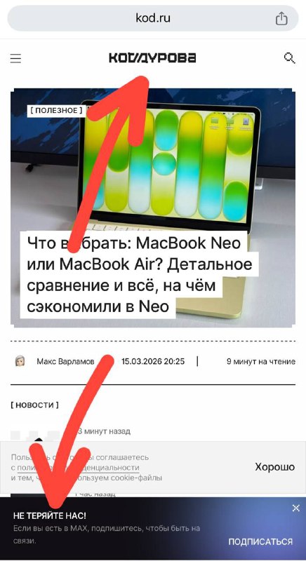 Дуров. Итоги
Армяне бегут с корабля